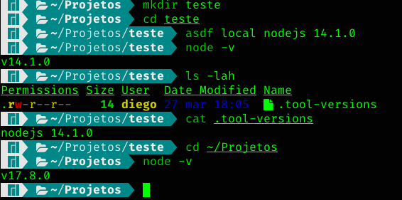 Terminal screenshot